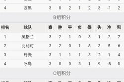 华体会登录-克罗地亚迎战荷兰，实力对比