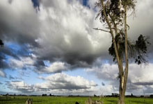 华体会皇马赞助商-奥利维耶爆发！加拿大橄榄球险胜威尔士，改写历史的黄金时刻