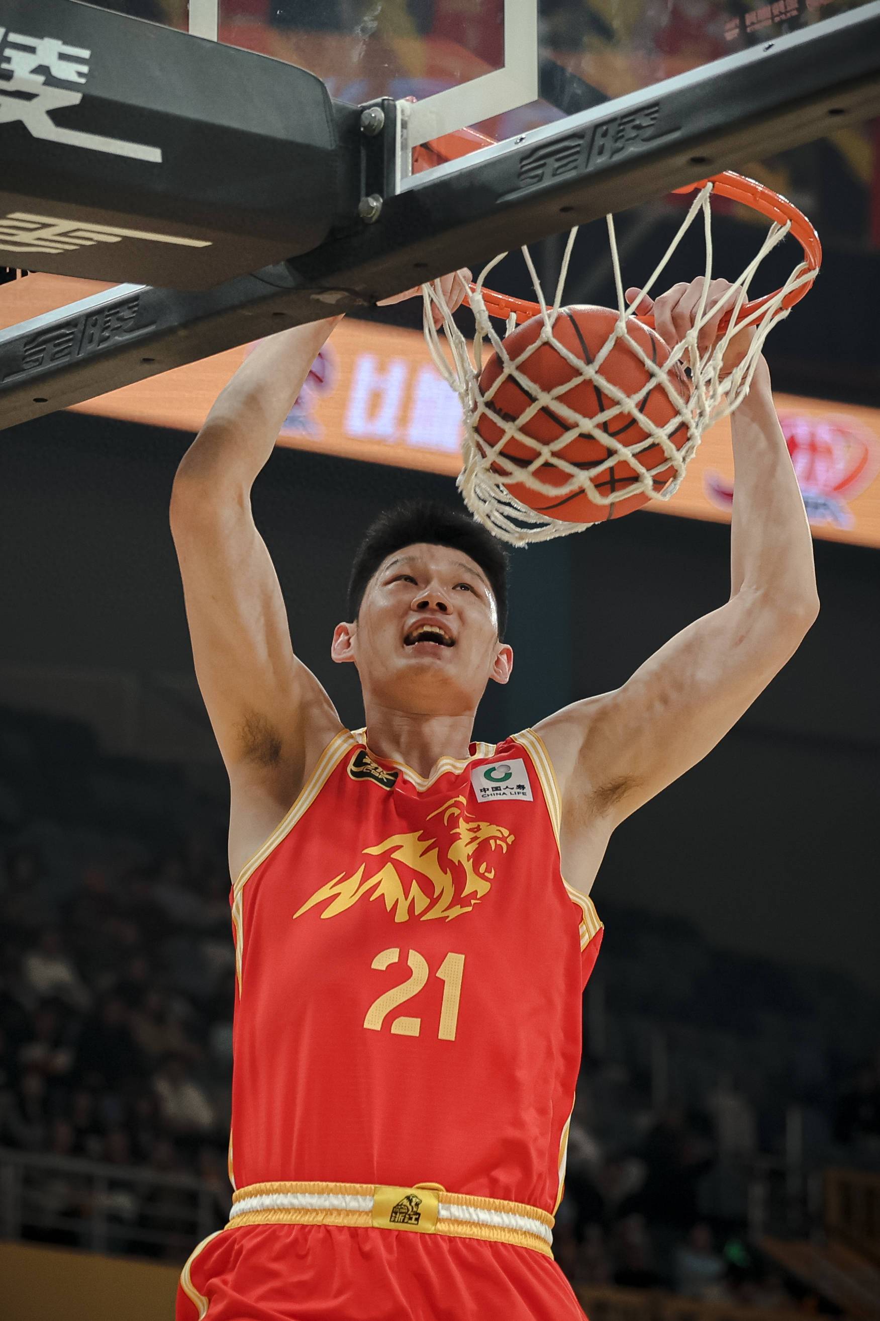 浙江男篮再获连胜，实力得到认可